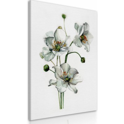 Obraz na plátně WHITE FLOWERS II. různé rozměry Ludesign ludesign obrazy: 70x50 cm – Zbozi.Blesk.cz