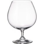 Crystal Bohemia Sklenice na koňak COLIBRI 6 x 690 ml – Zboží Mobilmania
