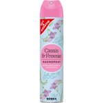 G & G Cassis & Freesie osvěžovač vzduchu 300 ml – HobbyKompas.cz