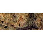 Diversa 3D pozadí Standard 120 x 60 cm – Zboží Dáma