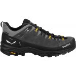 Salewa Alp Trainer 2 Gore Tex hnědé – Zboží Mobilmania