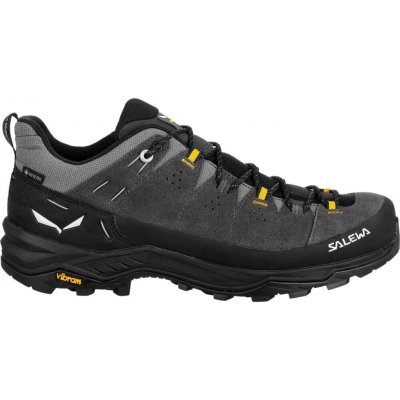 Salewa Alp Trainer 2 Gore Tex hnědé – Zboží Mobilmania