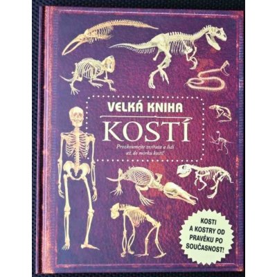 Velká kniha kostí - Llewellyn Claire – Zboží Mobilmania