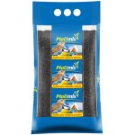 Forestina Slunečnice černá 2 kg – Sleviste.cz