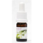 Eoné Neroli v jojobě BIO 3 ml – Hledejceny.cz