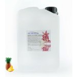 PM Aqualog esence do parních kabin ananas 803-003/D 3 l – Hledejceny.cz