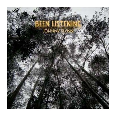 Johnny Flynn - Been Listening LP – Zbozi.Blesk.cz