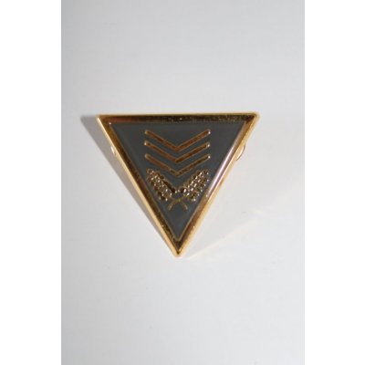 MP Odznak hodnosti Městská Policie Policejní Rada – Hledejceny.cz