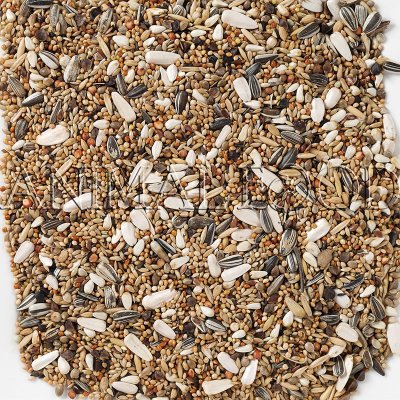 Deli Nature 69 Large Parakeet With Sunflower Seeds 4 kg