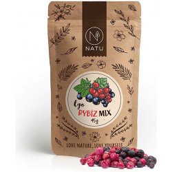 NATU Lyo mix rybíz 45 g