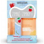 Weleda výživný krém Coldcream 30 ml + Tyčinka na rty Everon 4,8 g dárková sada – Hledejceny.cz