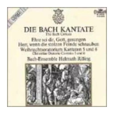 Johann Sebastian Bach - Cantatas Vol 5 & 6 CD – Hledejceny.cz