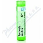 LACHESIS MUTUS POR 5CH GRA 4G – Hledejceny.cz