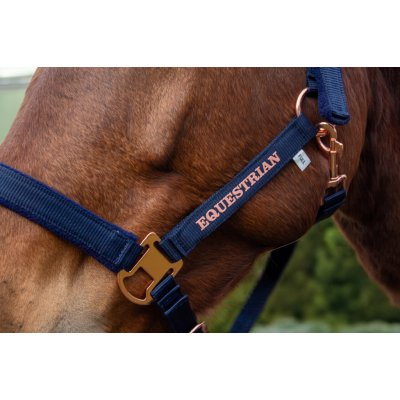 Kentaur ROSEGOLD modrá – Sleviste.cz
