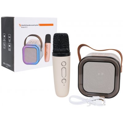RKToys Karaoke mikrofon s reproduktorem RGB – Sleviste.cz