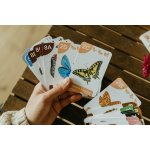 ePiPí Kvarteto Zvířecí druhy – Hledejceny.cz