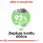 Royal Canin Mini Digestive Care 3 kg – Hledejceny.cz