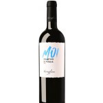 Varvaglione Primitivo MOI BLUE suché červené 2023 13% 0,75 l (holá láhev) – Hledejceny.cz