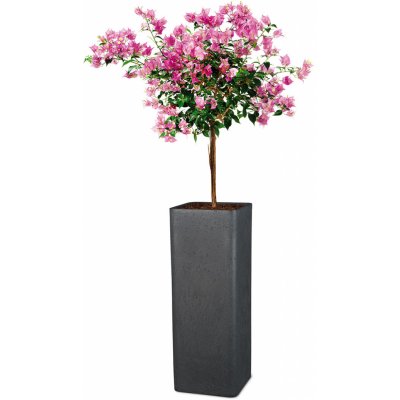 Scheurich Květináč Cube High cca 70 cm, Granit černý