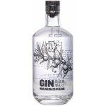 Rammstein GIN 40% 0,7 l (holá láhev) – Sleviste.cz