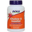 Now Foods Cholin & Inositol 500 mg x 100 kapslí