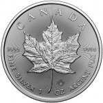 Royal Canadian Mint Stříbrná mince Maple Leaf 2026 1 oz – Zboží Dáma