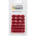 Games Workshop Citadel Colour: Brimstein Firegrass Tufts – Zbozi.Blesk.cz