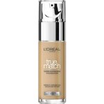 L'Oréal Paris True Match make-up N6 Honey 30 ml – Hledejceny.cz