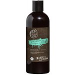 Tierra Verde sprchový gel pro muže Energie máty 500 ml – Hledejceny.cz