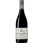 Henri Magnien Gevrey Chambertin Premier Cru Les Champeaux 2024 Červené 14.0% 0.75 l (holá láhev) – Hledejceny.cz