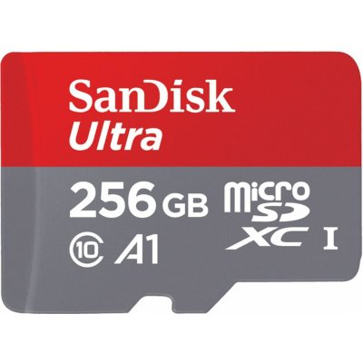 SanDisk microSDXC UHS-I U1 256 GB SDSQUAC-256G-GN6MA – Zbozi.Blesk.cz