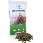 ENERGYS Cukrovarské řízky bez melasy sypké 20 kg – Zboží Mobilmania