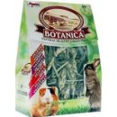 Krmivo pro hlodavce Apetit Botanica 70 g