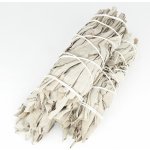 USA Šalvěj bílá svazek 45 g – Zboží Dáma USA Šalvěj bílá svazek 45 g – Zboží Dáma