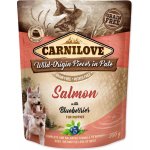 Carnilove Puppy Paté Salmon with Blueberries 300 g – Zboží Mobilmania