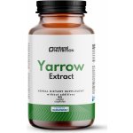 Natural Nutrition Řebříček obecný extrakt 90 kapslí – Hledejceny.cz