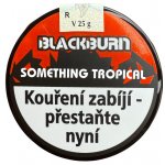 BlackBurn Something Tropical 25 g – Hledejceny.cz