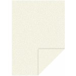 HEYDA Karton s reliéfem Milano esíčka A4 220 g/m2 champagne – Hledejceny.cz