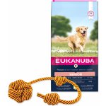 Eukanuba Senior Large & Giant Lamb 12 kg – Zboží Mobilmania