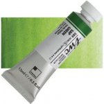 ShinHan Akvarelová barva PWC 15 ml Sap Green 589 – Zboží Dáma