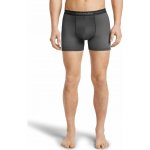 Icebreaker Mens Anatomica Boxers Black – Sleviste.cz