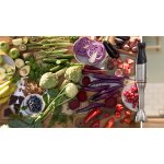 Bosch ErgoMaster MSM6M831 – Hledejceny.cz