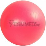 GYMY ABS 65cm – Zboží Dáma