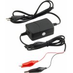 Wilstar 12-24V 2A | Zboží Auto
