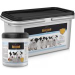 Belcando Mléko pro štěňata 2500 g – Sleviste.cz