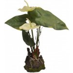 Lucky Reptile Anthurium bílé 25 cm – Zboží Dáma