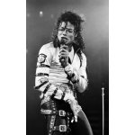 Plakát, Obraz - Michael Jackson, 24.5 × 40 cm – Sleviste.cz