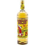 Gusano Rojo 38% 0,7 l (holá láhev) – Zboží Dáma