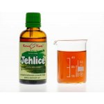Bylinné kapky Jehlice tinktura 50 ml – Hledejceny.cz