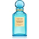 Tom Ford Neroli Portofino Forte parfémovaná voda unisex 250 ml